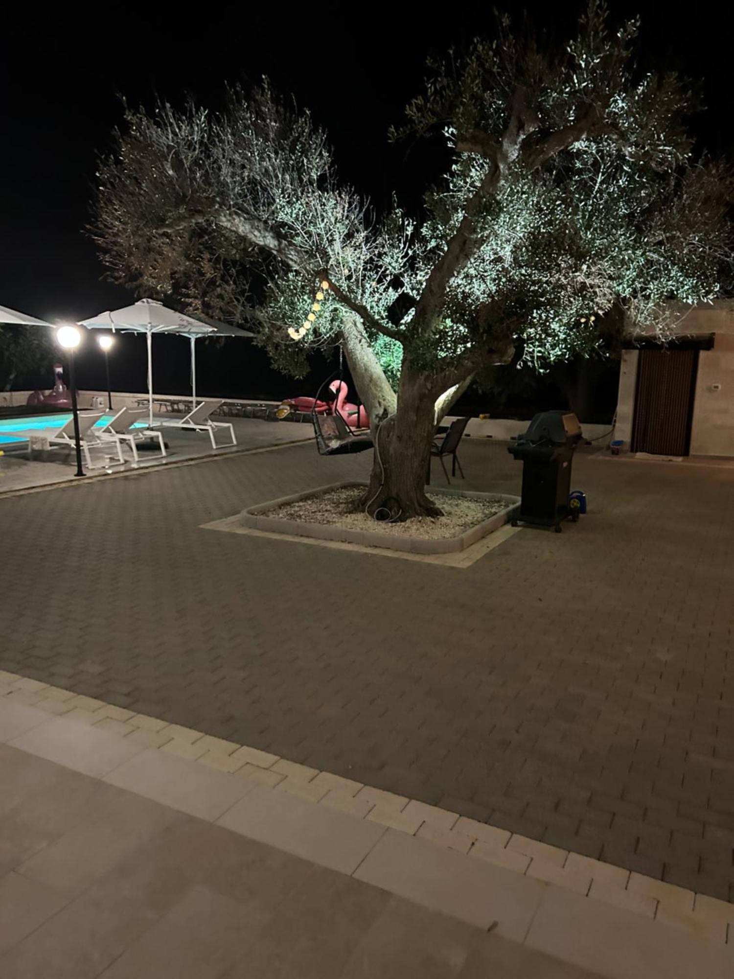 Lara - Mit Separatem Extra Mit Wc Und Dusche Apartment San Vito dei Normanni